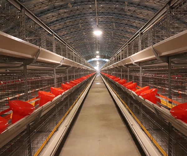 3120-40笼具