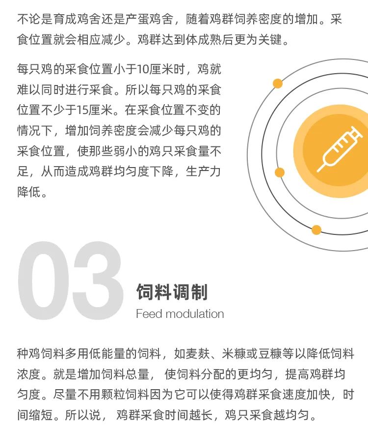 养鸡设备厂家